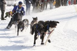 Lenk 2012 SM